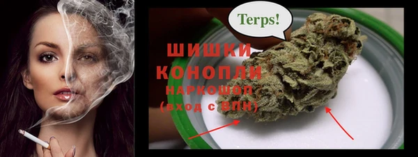 PSILOCYBIN Белоозёрский