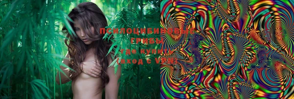 PSILOCYBIN Белоозёрский