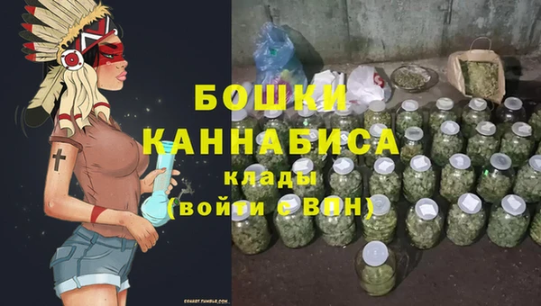 PSILOCYBIN Белоозёрский