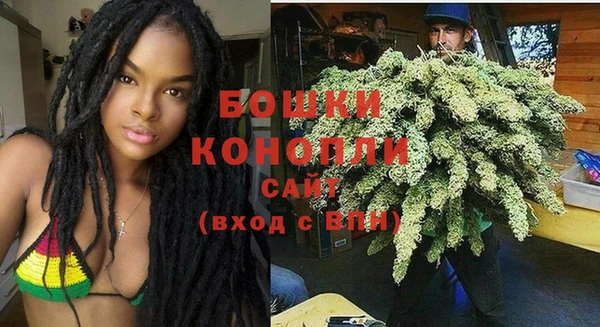 соль ск Белокуриха