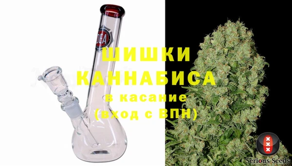 соль ск Белокуриха