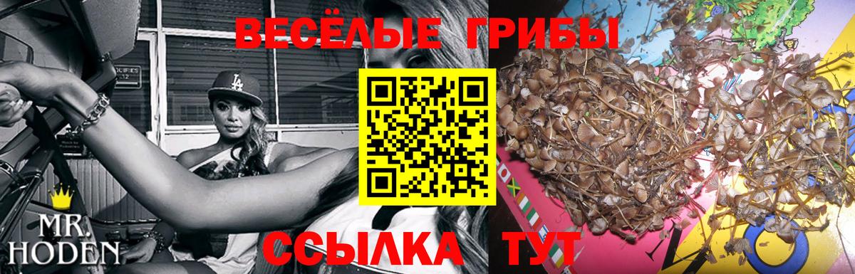 Галлюциногенные грибы мухоморы Горячий Ключ