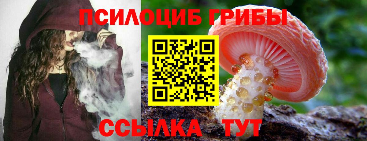 Горячий Ключ  Галлюциногенные грибы мицелий  Вход с VPN 