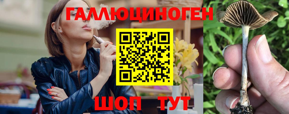 Меф   Горячий Ключ  Экстази  NBOMe  Cocaine  Вход с VPN  А ПВП СК кристаллы  MDMA  Конопля 